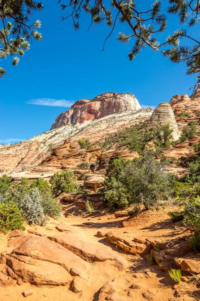 Zion N.P. - Canyon Overlook Trail — Stock Photo, Image