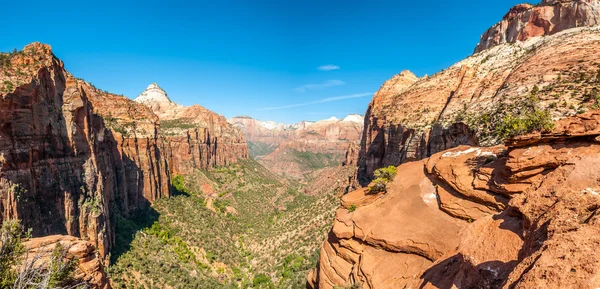 Panoramic view to the Canyon in Zion National Park — Stock Photo, Image