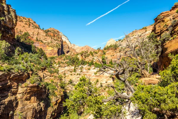 Zion - Canyon Overlook Trail — Stock Photo, Image