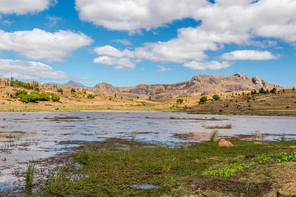 Anja - rezerwat przyrody z Madagaskaru — Zdjęcie stockowe