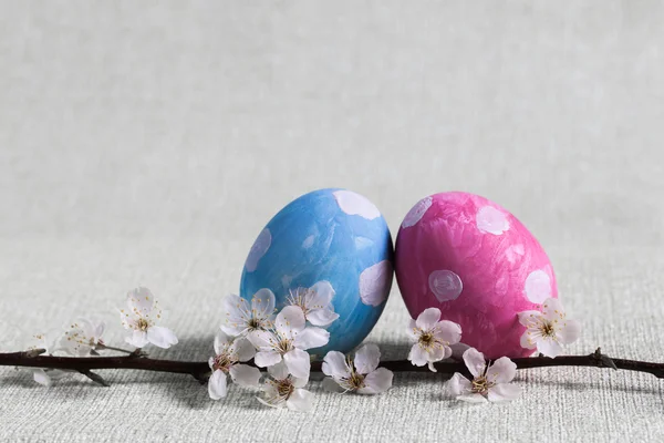 Huevo azul y rosa con lunares blancos, niño y niña Rama de Pascua de un árbol en flor en primavera —  Fotos de Stock