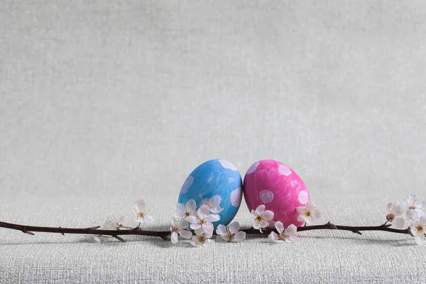 Huevo azul y rosa con lunares blancos, niño y niña Rama de Pascua de un árbol en flor en primavera —  Fotos de Stock