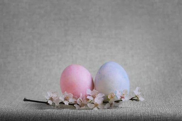 Rosa, blå, gula ägg påsk gren i blommande trädet — Stockfoto