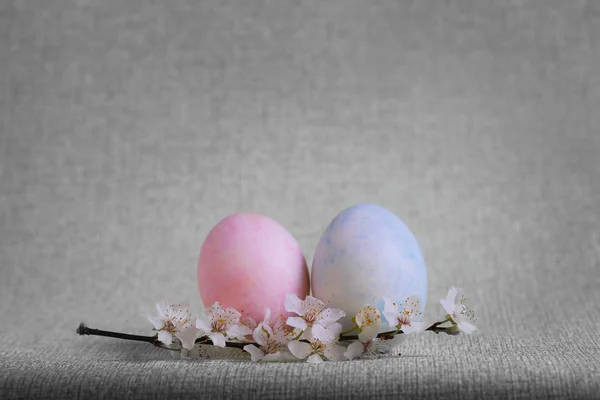 Uova rosa, blu, gialle Ramo pasquale dell'albero in fiore Immagine Stock