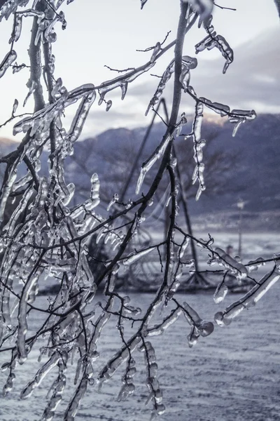 Buzlu ve fırtınalı gün