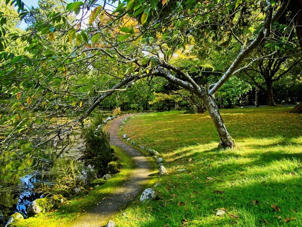 Tempat Umum Taman Hatley Victoria Vancouver Island Jalur Berjalan Sepanjang — Stok Foto