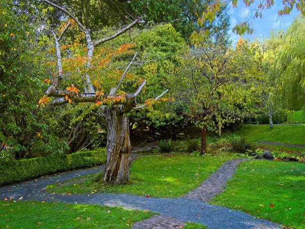 Public Hatley Park Grounds Victoria Vancouver Island Japanese Garden — Stock Photo, Image