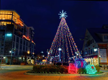 Sidney BC, Vancouver Adası, Kanada, Noel zamanı festival ışıklarıyla süslenmiş.