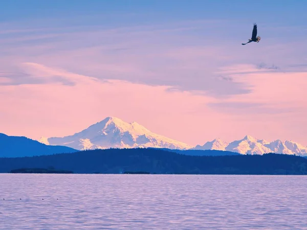 Baker View Sunset Time Island View Beach Vancouver Island Bald — Stock Photo, Image