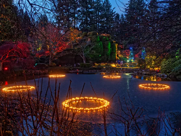 Dezembro 2019 Victoria Canadá Iluminação Festiva Natal Butchart Gardens — Fotografia de Stock
