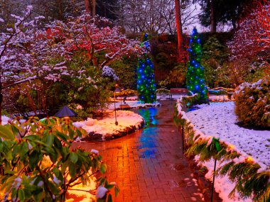 Victoria BC, Kanada - 21 Aralık 2018. Karla kaplı Butchart Bahçeleri 'nde Noel Aydınlanması