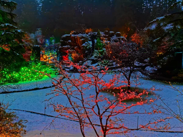 Victoria Canadá Dezembro 2018 Iluminação Festiva Natal Jardins Cobertos Neve — Fotografia de Stock