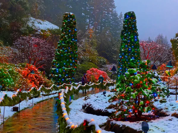 Victoria Canada December 2018 Festive Christmas Illumination Snow Covered Butchart — Stock Photo, Image
