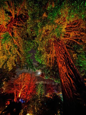 Victoria BC, Kanada - 5 Aralık 2019. Karla kaplı Butchart Bahçeleri 'nde Noel Aydınlanması