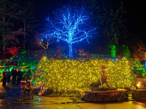 Victoria Canadá Dezembro 2019 Iluminação Festiva Natal Jardins Cobertos Neve — Fotografia de Stock