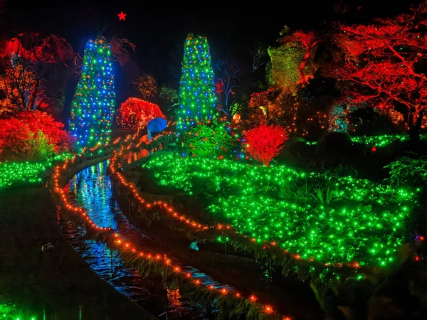 Victoria Canadá Dezembro 2019 Iluminação Festiva Natal Jardins Cobertos Neve — Fotografia de Stock