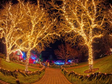 Victoria BC, Kanada - 5 Aralık 2019. Butchart Bahçelerinde Noel Aydınlatması