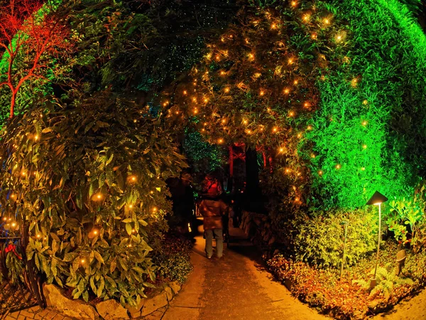 Victoria Canadá Dezembro 2019 Iluminação Festiva Natal Butchart Gardens — Fotografia de Stock