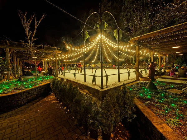 Victoria Canadá Dezembro 2019 Iluminação Festiva Natal Butchart Gardens — Fotografia de Stock