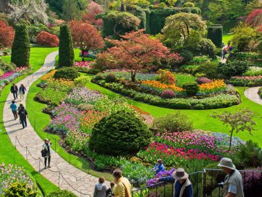 Victoria BC, Canada - April 18, 2019. Spring blooms in Sunken Garden of The Butchart Gardens