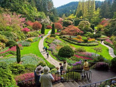 Victoria BC, Canada - April 18, 2019. Spring blooms in Sunken Garden of The Butchart Gardens