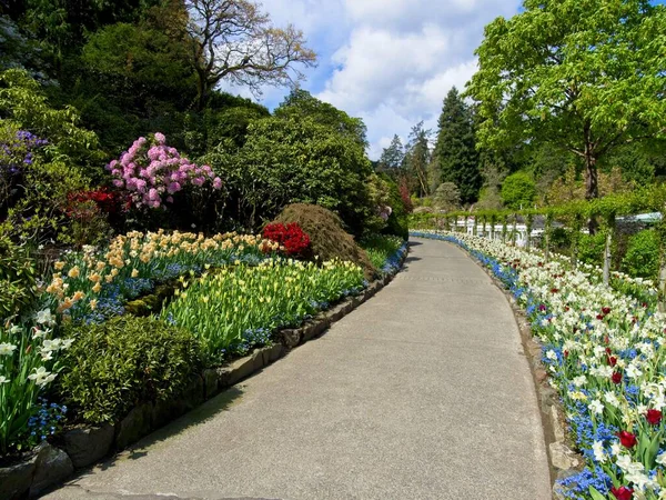 Paseo Jardín Primavera Entre Macizos Flores Con Tulipanes Coloridos — Foto de Stock