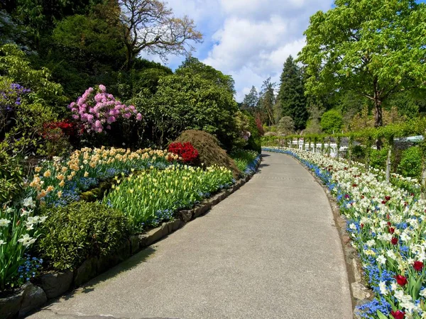 Walkway in the spring garden among flower beds with colorful tulips — Stock Image Walkway Spring Garden Flower Beds Colorful Tulips Stock Image