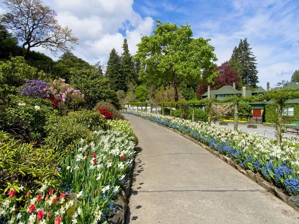 Walkway in the spring garden among flower beds with colorful tulips — Stock Image Walkway Spring Garden Flower Beds Colorful Tulips Royalty Free Stock Photos