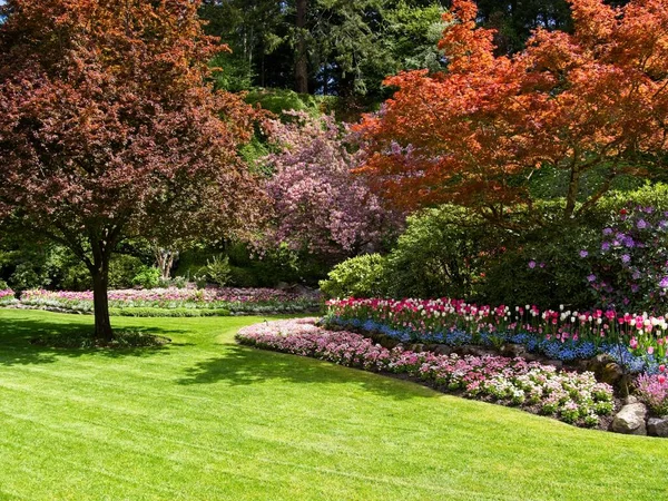 Weelderige Tuin Bloeien Het Voorjaar Met Kleurrijke Tulpen Bloembedden — Stockfoto