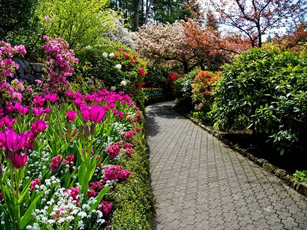 Jardín Exuberante Floreciendo Primavera Con Tulipanes Coloridos Los Macizos Flores — Foto de Stock