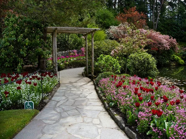 Πλούσιος Κήπος Ανθίζει Την Άνοιξη Πολύχρωμες Τουλίπες Στα Παρτέρια — Φωτογραφία Αρχείου