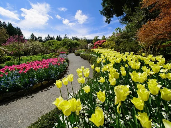 緑豊かな春の花壇の間の庭の歩道 — ストック写真