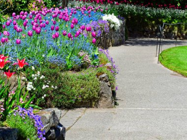 Bahçe yolu yemyeşil bahar çiçeklerinin arasında
