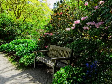 Victoria İ.Ö. 'deki Finnerty Bahçeleri' nde bahar ayları yürüyüş yolları ve banklarla çiçek açar.