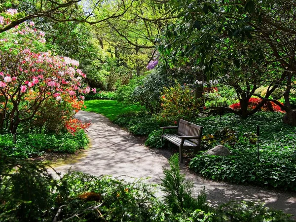 Springtime Blooms Walkways Benches Public Finnerty Gardens Victoria — Stock Photo, Image