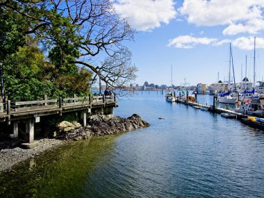 Victoria BC, Songhees mahallesinin batı yakasında deniz kenarında yürüyüş.
