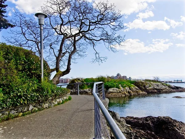 Seaside Promenad West Bat Område Victoria Songhees Grannskapet — Stockfoto