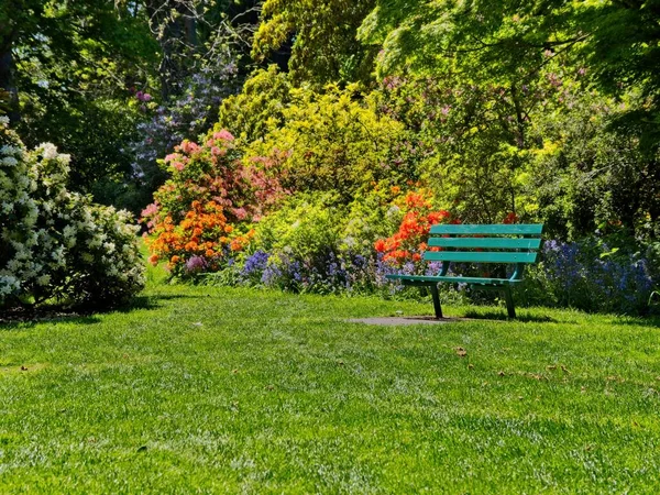 Bench Lawn Sunny Summer Weather Beacon Hill Park Victoria — Stock Photo, Image