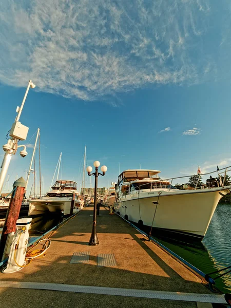 Yachts Moored Marina Bight Sunny Day — Stock Photo, Image