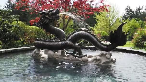 Victoria Καναδάς Μαΐου 2021 Dragon Σιντριβάνι Στο Butchart Gardens Κατά — Αρχείο Βίντεο