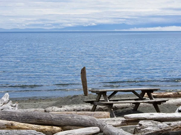 Victoria Kanada Května2021 Driftwood Sochy Podél Pláže Esquimalt Laguny — Stock fotografie