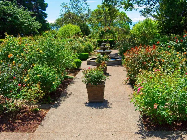 Fonte Jardim Rosas Público Casa Governo Victoria — Fotografia de Stock