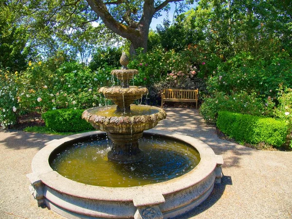 Fountain Public Rose Garden Government House Victoria — Stock Photo, Image