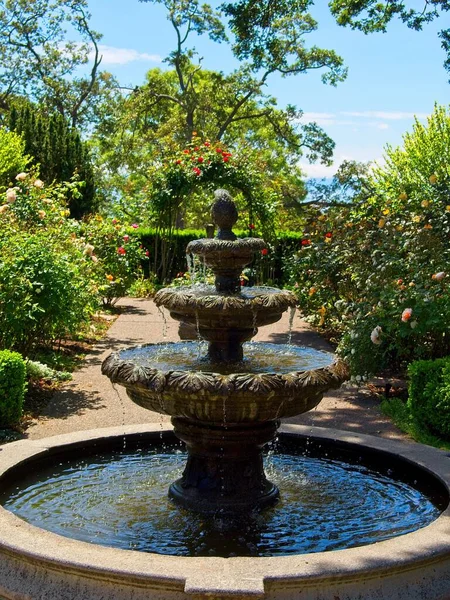 Fuente Jardín Rosas Público Casa Gobierno Victoria — Foto de Stock