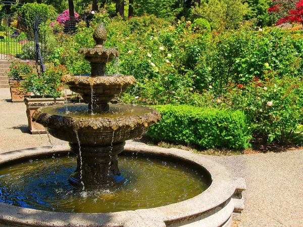 Fountain Public Rose Garden Government House Victoria — Stock Photo, Image