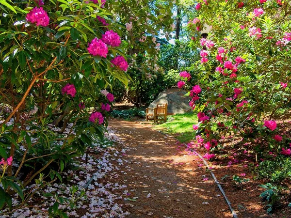 Jardín Público Casa Gobierno Victoria — Foto de Stock