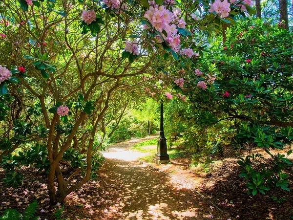 Public Garden Government House Victoria — Stock Photo, Image