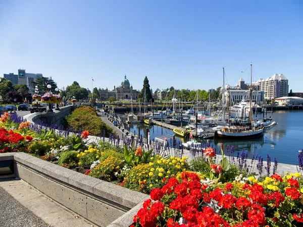 Inner Harbor Downtown Victoria Summer — Stock Photo, Image