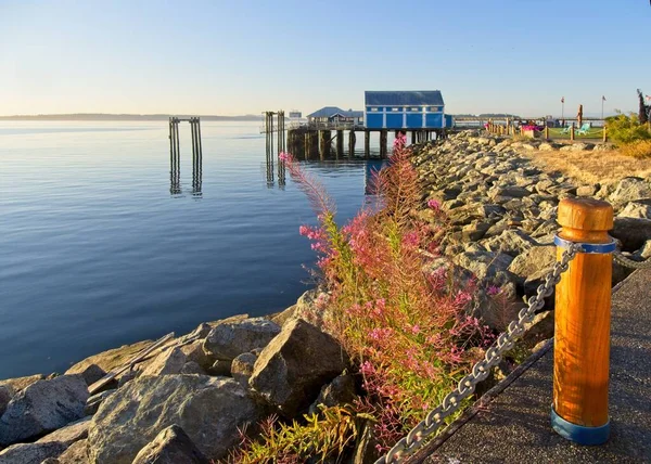 Spectacular View Sidney Shore Sunrise — Foto Stock