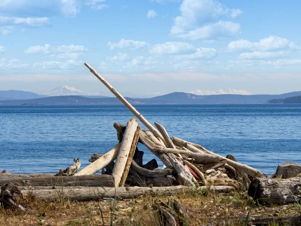 Driftwood Menumpuk Karya Seni Island View Beach Vancouver Island — Stok Foto